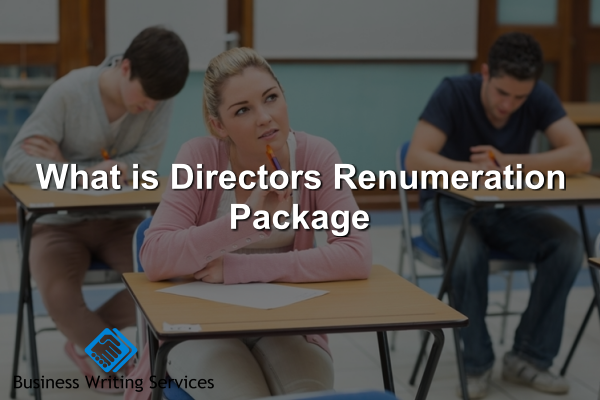 What is Directors Renumeration Package